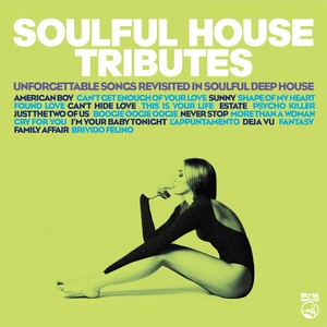 Brivido Felino(featuring Daniele Bengi Benati and Stefy Gamboni) (Mark Di Meo & Gerardo Smedile Remix)