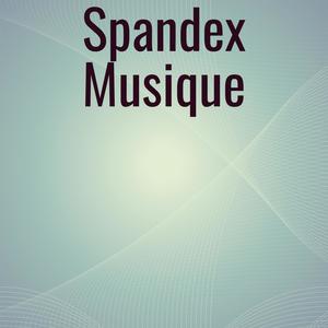 Spandex Musique