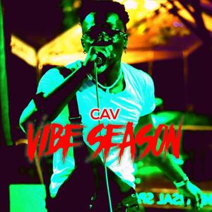 Vibe season (Explicit)