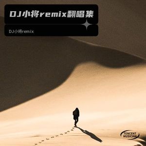 雪藏 (DJ小将remix remix)封面