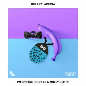 I'm On Fire(feat. Ameria) (Ruby LO & Mully Remix)