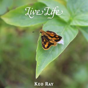 Live Life (feat. Ryan Shook)