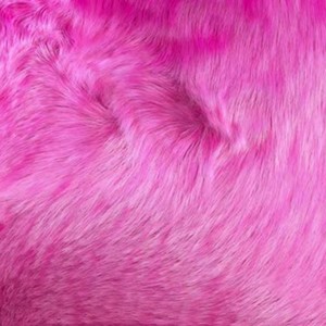 Pink Mink (Explicit)