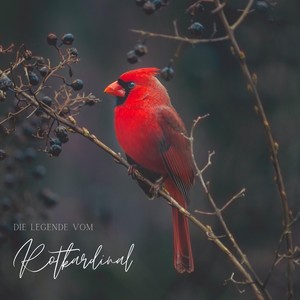 Die Legende vom Rotkardinal
