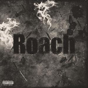 Roach (feat. bez & dman) [Explicit]