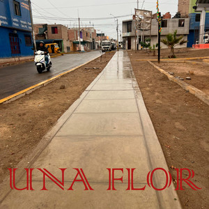 Una Flor