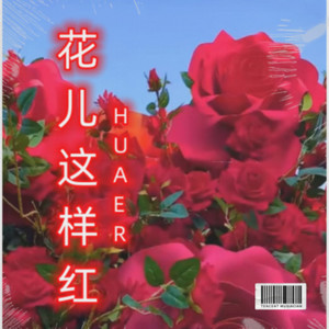 花儿这样红