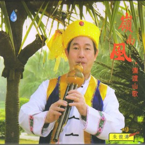 湖边的孔雀 - 朱龙涛封面