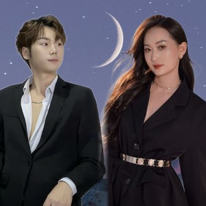 鸭子调戏红嘴鸥