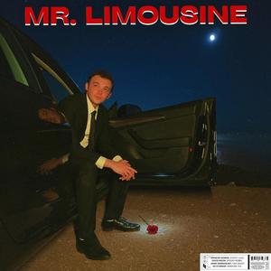 Mr. Limousine