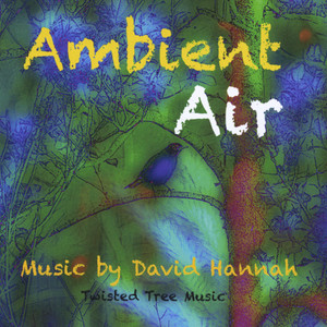 Ambient Air