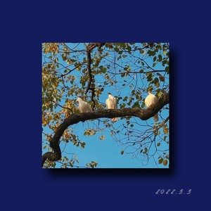 二零二二年三月的三日