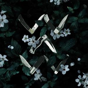 Champion (feat. Brandon Turner)