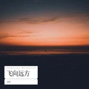 飞向远方