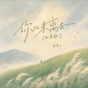 你从未离去封面