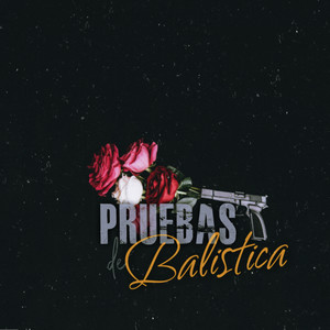 Pruebas De Balística