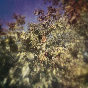 five star girl. (Sahara II)