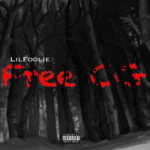 Free CG (Explicit)