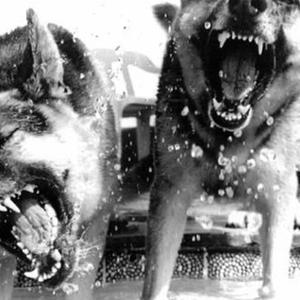 Blodpakten (Explicit)