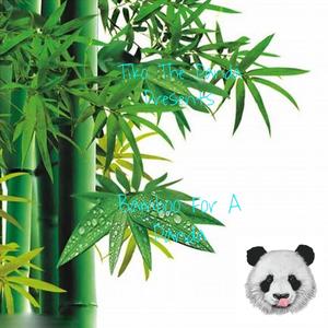 Bamboo For A Panda