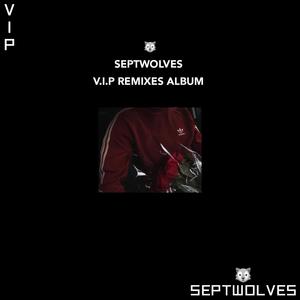 Dance Money（全网最火慢海舞曲）