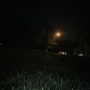 Clarity (feat. 6evermir) (Explicit)