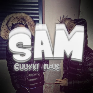 SAM (Explicit)