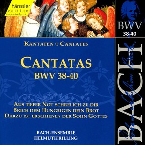 Brich dem Hungrigen dein Brot, BWV 39 - Part II: Recitative: Wie soll ich dir, o Herr! (Alto)