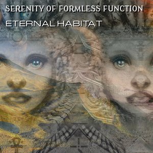 Serenity of Formless Function