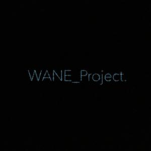 WANE_Project.