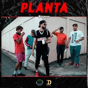 Planta(feat. YoungK66 & Wildboy) (Explicit)