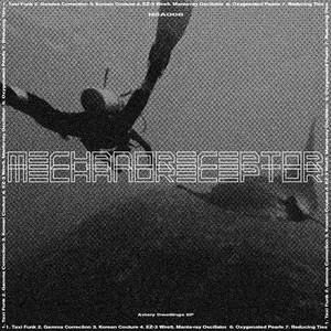 Gamma Correction MASTER bp1