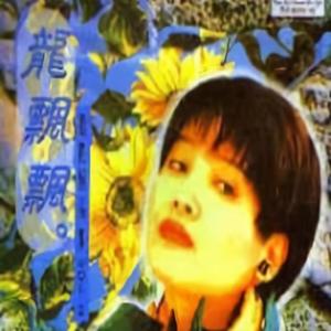 没有你的日子封面