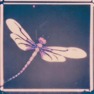 Dilly Dally (made up my mind) (Explicit)