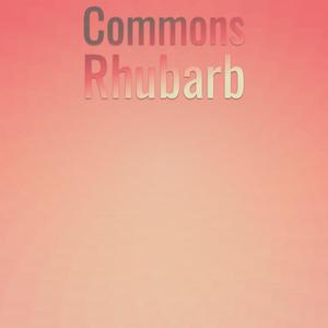 Commons Rhubarb