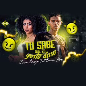 Tu Sabe Que Eu Gosto Disso (feat. Bruna Alves) [Explicit]