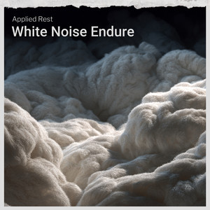 White Noise Endure