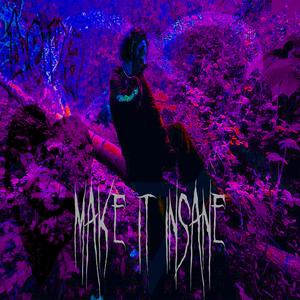 Make it Insane Anthem (Explicit)