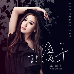 车静子 - 让泪风干