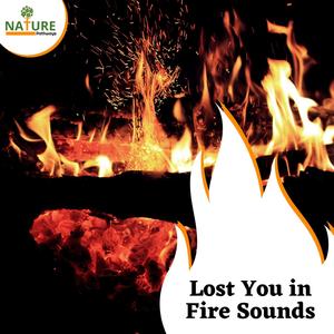 Lost You in Fire Sounds