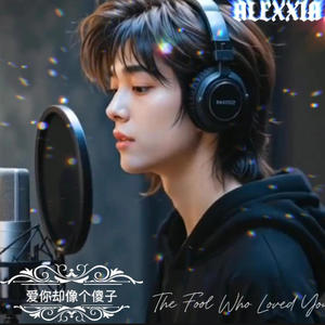 爱你却像个傻子 (The Fool Who Loved You)