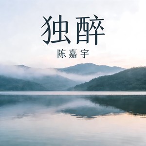 独醉封面