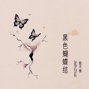 黑色蝴蝶结封面