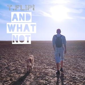 And What Not (Explicit)