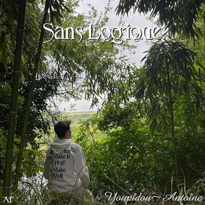 Sans Logique (Mylène Piano Collection)