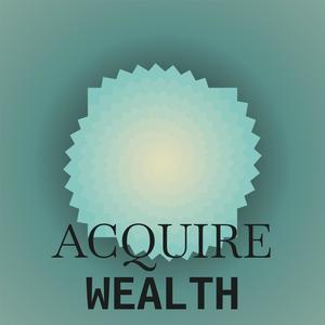 Acquire Wealth