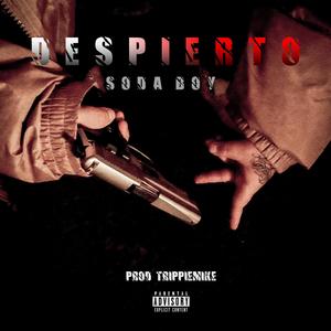 Despierto (Explicit)