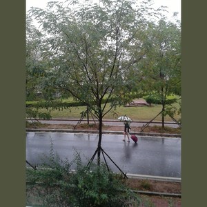 旅顺南路的故事