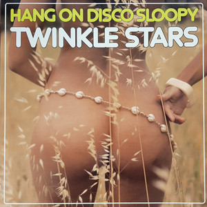 Hang On 'Disco' Sloopy