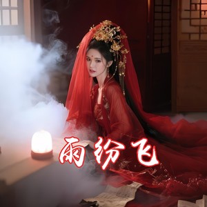 雨纷飞